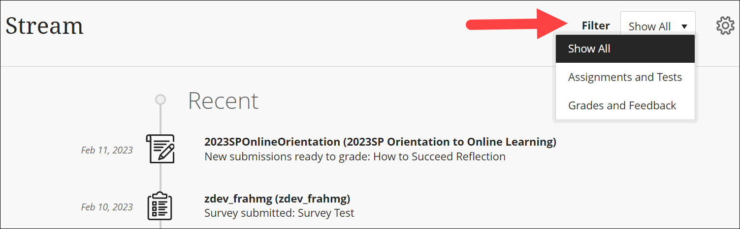 Activity Stream filter options