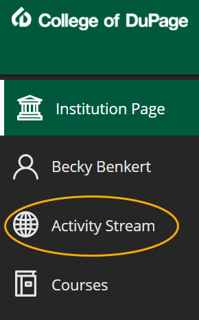 Activity Stream link on the left navigation menu